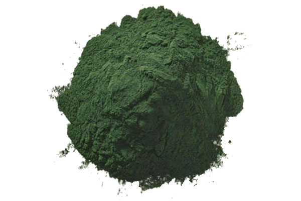 Chlorella_06